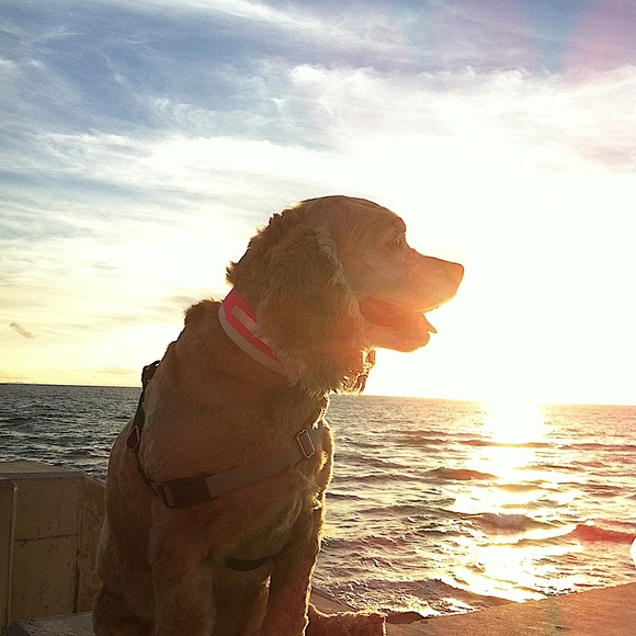 Meet your Posher, Eve - Picture 10 of 14